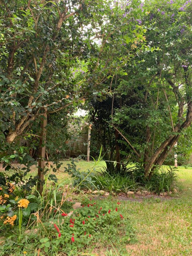 Lampiao Florianopolis
